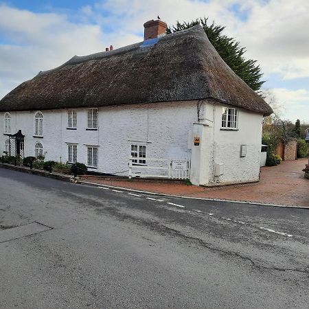 The White Cottage Colyton エクステリア 写真