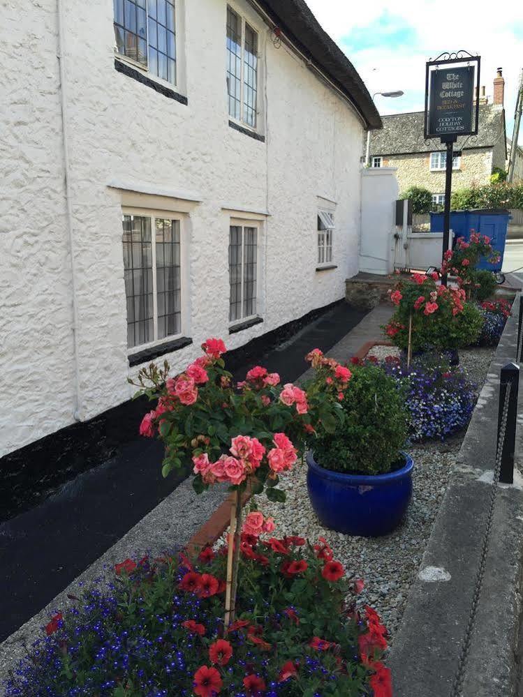 The White Cottage Colyton エクステリア 写真